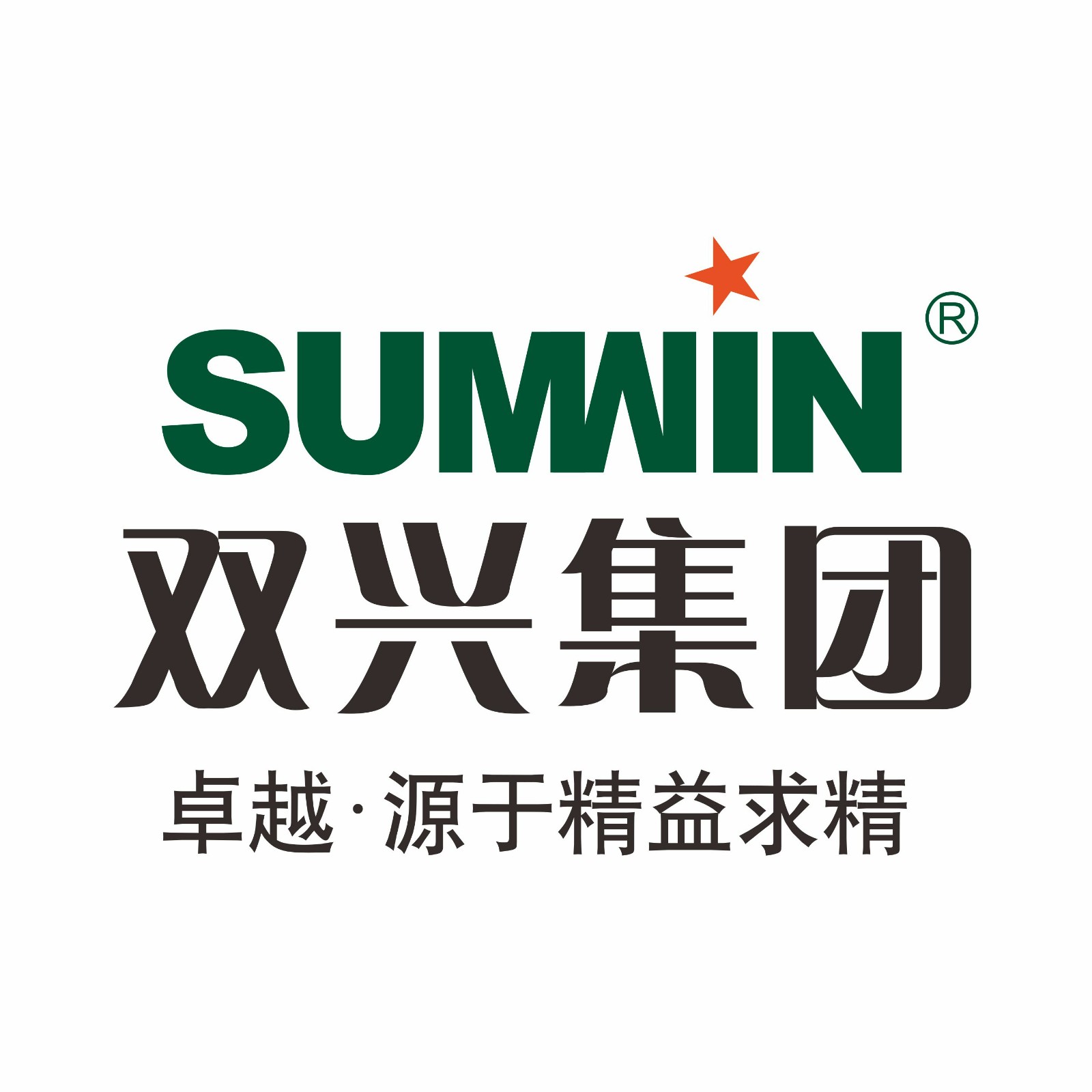 广东双兴新材料集团